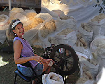 at Spinning Wheel with bags of fleeces