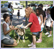 Nursing lamb visits kids at camp.